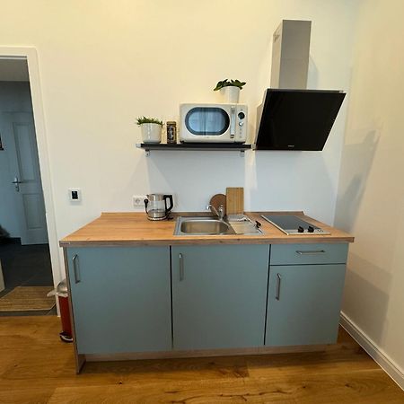 Boutique Hotel Pension Luisengruen Kueche 1Gbs Wlan Netflix Disney Magentatv Chemnitz Luaran gambar