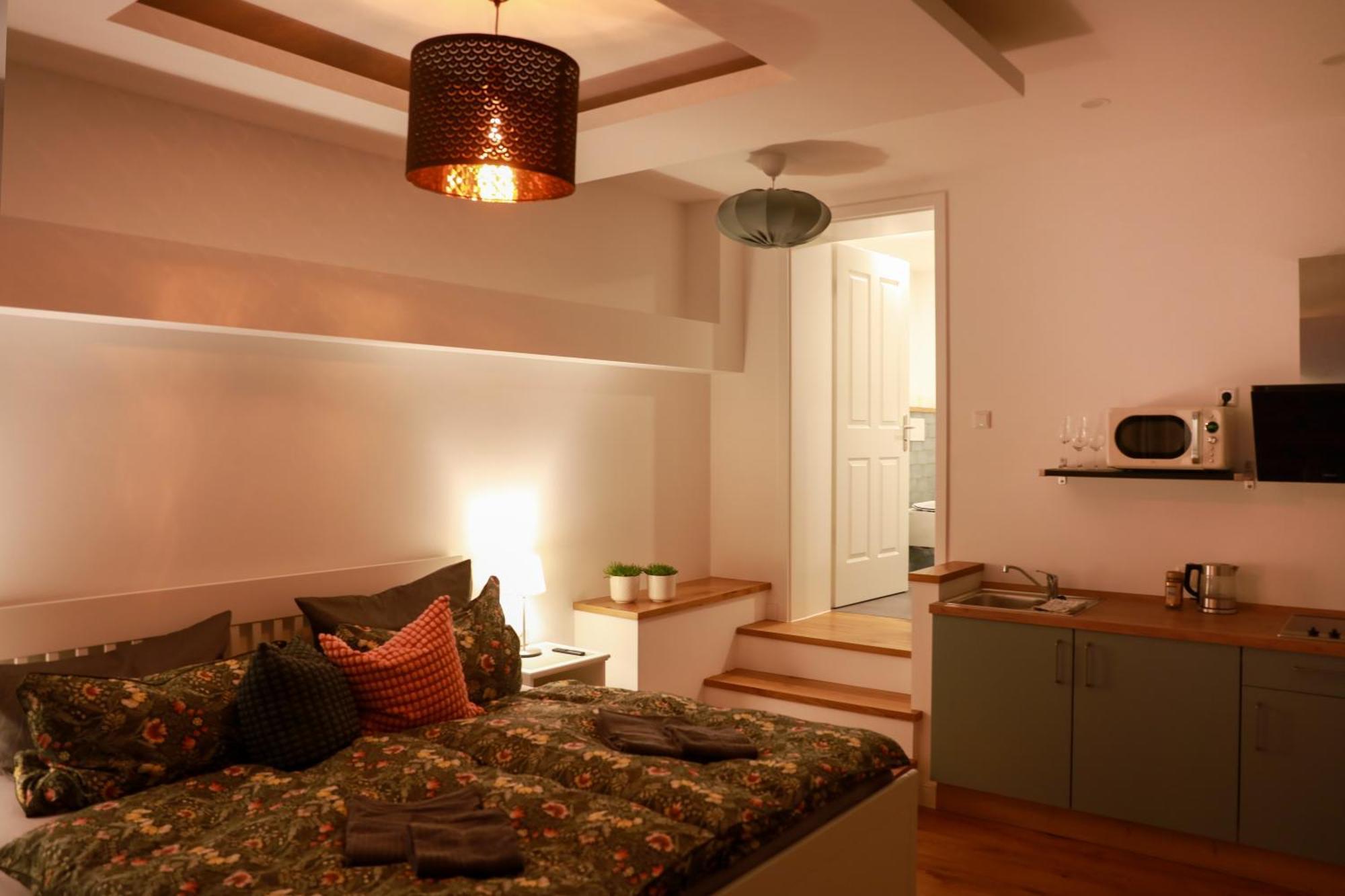 Boutique Hotel Pension Luisengruen Kueche 1Gbs Wlan Netflix Disney Magentatv Chemnitz Luaran gambar